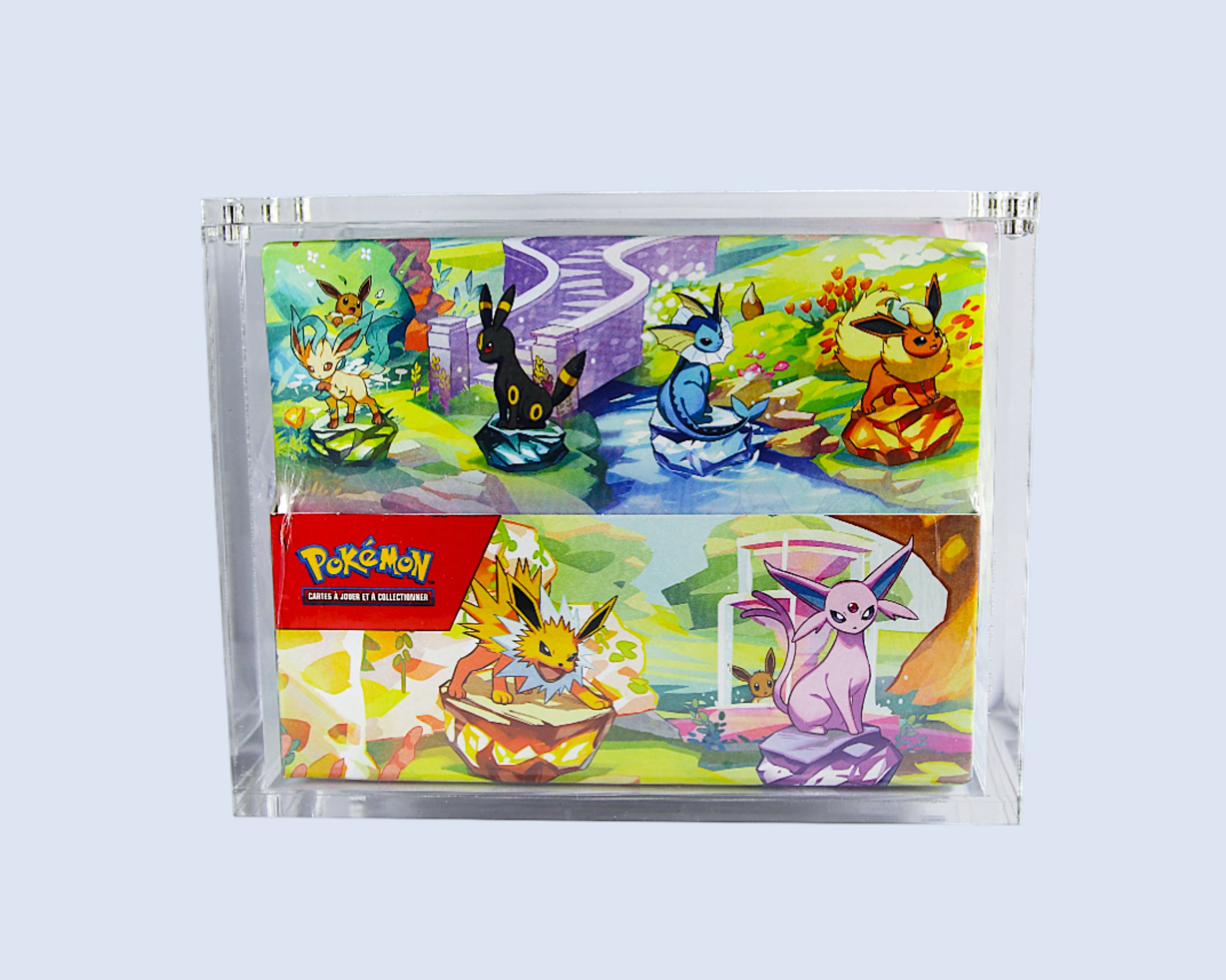 Protection acrylique pour Display 8 Mini Tin - Case Plex 